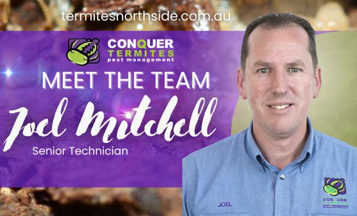 Introducing Joel Mitchell!