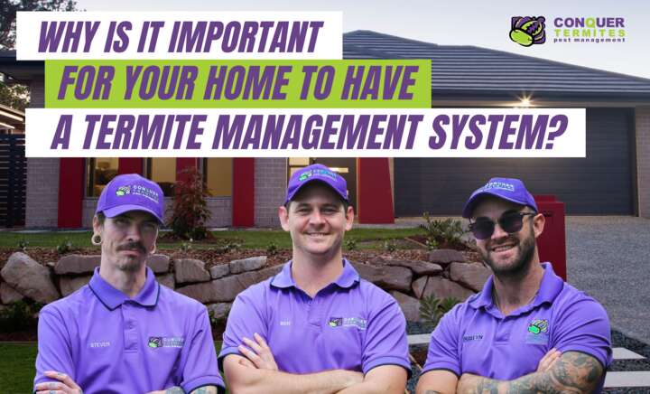 🏡 Protect Your Home with Termite Management System! 🐜🚫